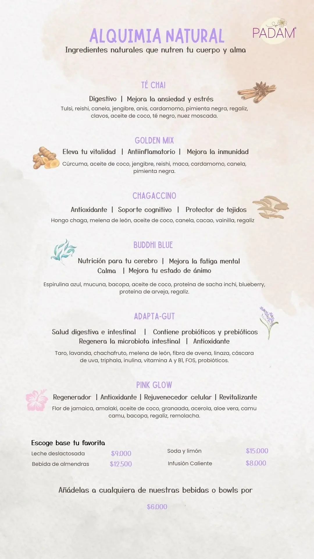 Vibra Activa Menu PRADMA 2025