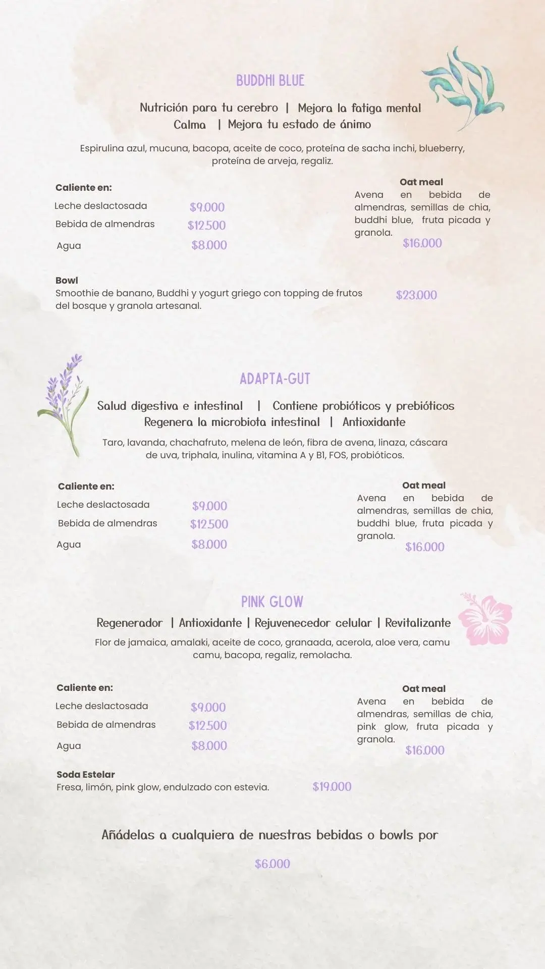 Vibra Activa Menu PRADMA 2025 - Parte 2