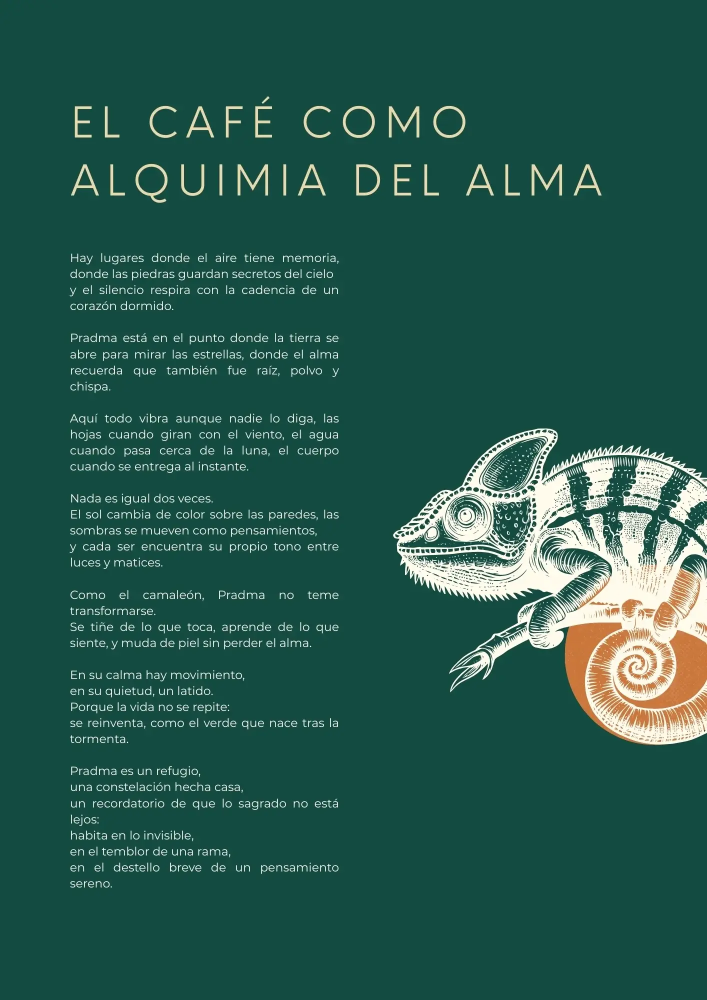 EL CAFÉ COMO ALQUIMIA DEL ALMA